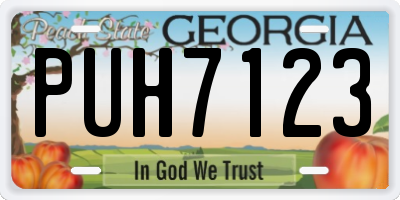 GA license plate PUH7123