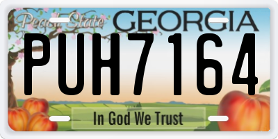 GA license plate PUH7164