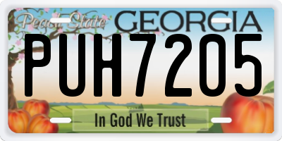 GA license plate PUH7205