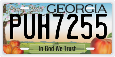 GA license plate PUH7255