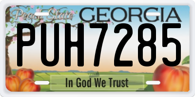 GA license plate PUH7285