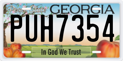 GA license plate PUH7354