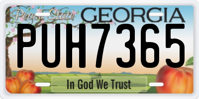 GA license plate PUH7365