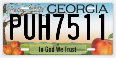 GA license plate PUH7511