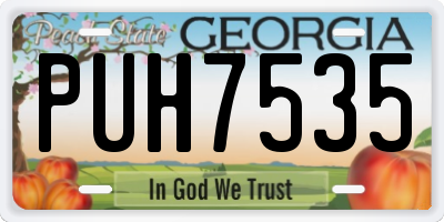GA license plate PUH7535