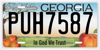 GA license plate PUH7587