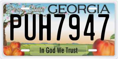 GA license plate PUH7947