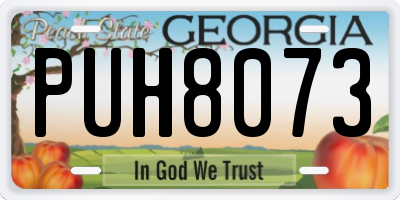 GA license plate PUH8073
