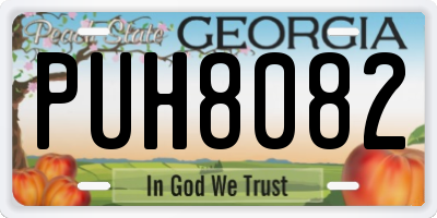 GA license plate PUH8082