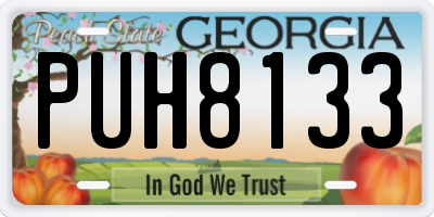 GA license plate PUH8133