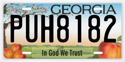 GA license plate PUH8182
