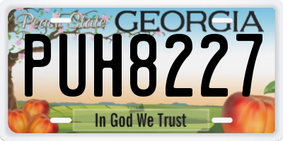 GA license plate PUH8227