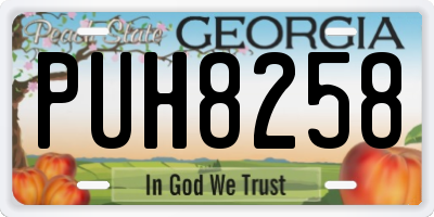GA license plate PUH8258