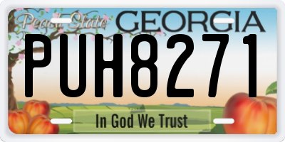 GA license plate PUH8271