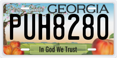 GA license plate PUH8280