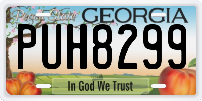 GA license plate PUH8299