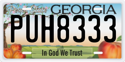 GA license plate PUH8333