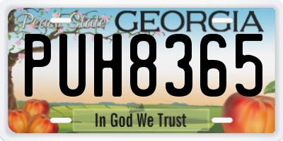 GA license plate PUH8365