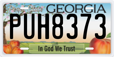 GA license plate PUH8373