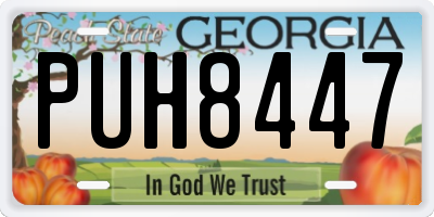 GA license plate PUH8447