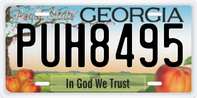 GA license plate PUH8495