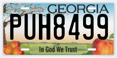 GA license plate PUH8499
