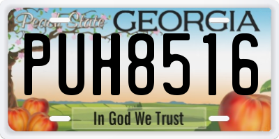 GA license plate PUH8516