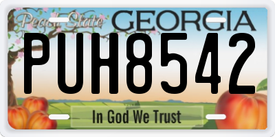 GA license plate PUH8542
