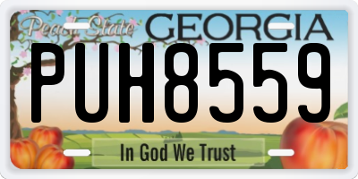 GA license plate PUH8559