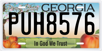 GA license plate PUH8576