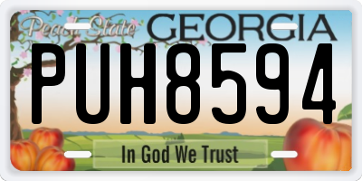 GA license plate PUH8594