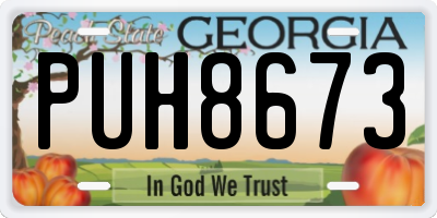 GA license plate PUH8673