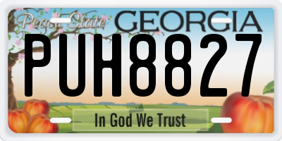 GA license plate PUH8827