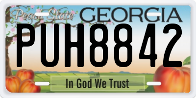 GA license plate PUH8842