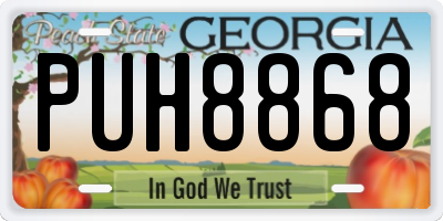 GA license plate PUH8868