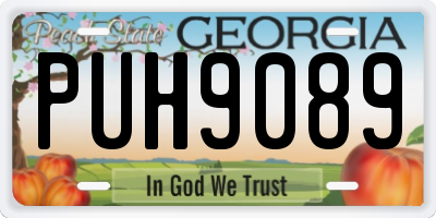 GA license plate PUH9089