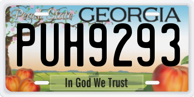 GA license plate PUH9293