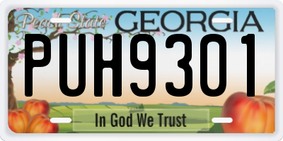 GA license plate PUH9301