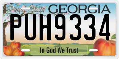 GA license plate PUH9334