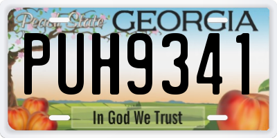 GA license plate PUH9341