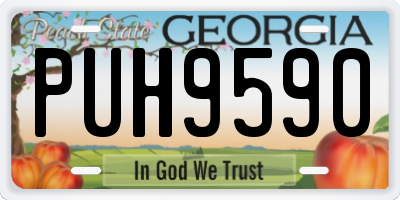 GA license plate PUH9590