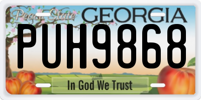 GA license plate PUH9868