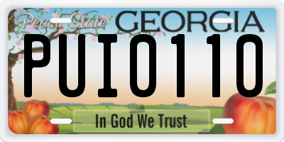 GA license plate PUI0110