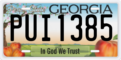 GA license plate PUI1385