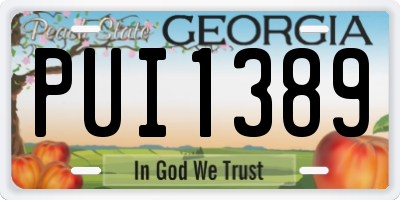 GA license plate PUI1389