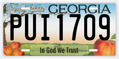 GA license plate PUI1709