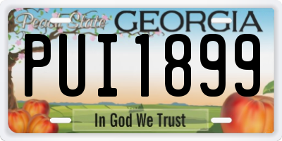 GA license plate PUI1899