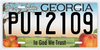 GA license plate PUI2109