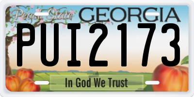 GA license plate PUI2173