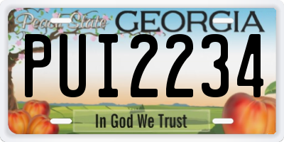 GA license plate PUI2234